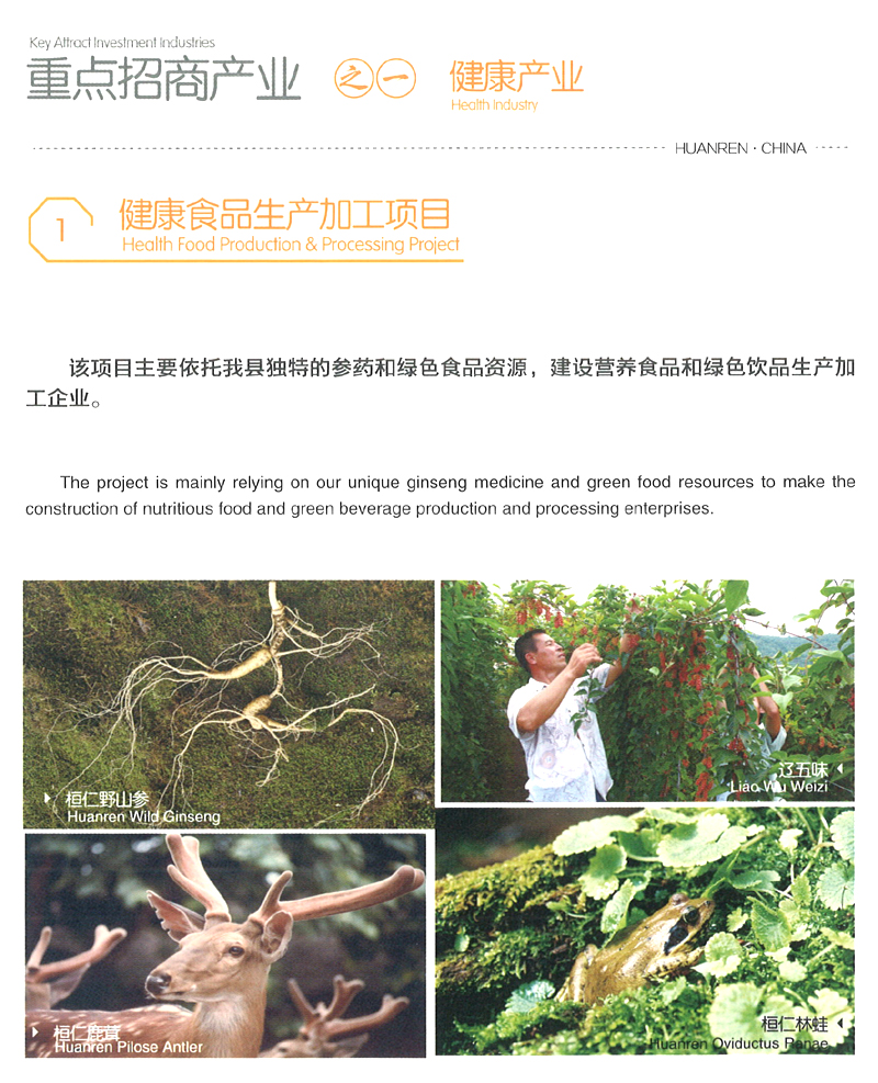 c978284e5879409a9037a80439b04a48.jpg